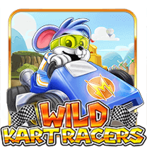 Wild Kart Racers